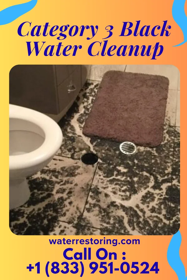 Category 3 Black Water Cleanup in Euclid, OH